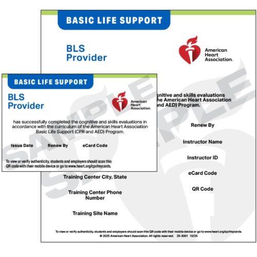 BLS Provider